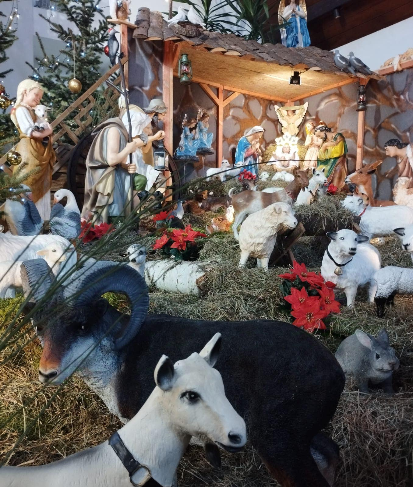 UROCZYSTOŚĆ BOŻEGO NARODZENIA